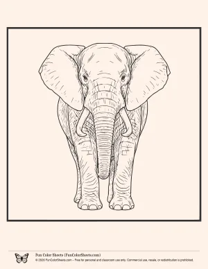 elephant zoo coloring page