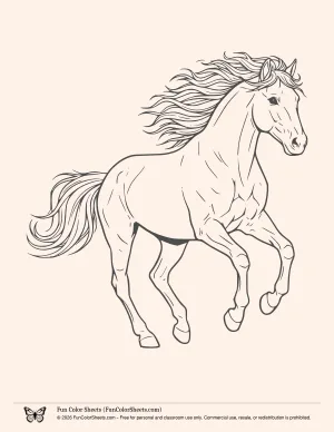 running horse printable coloring sheet