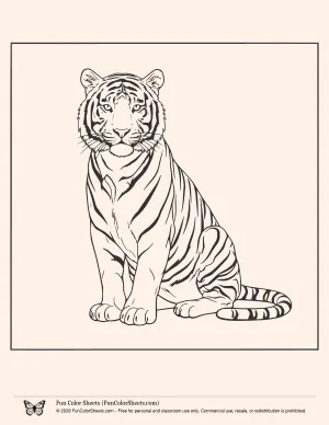 tiger coloring page