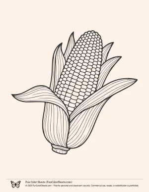 Corn Cob Coloring Page