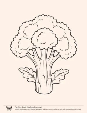 Detailed Broccoli Coloring Page