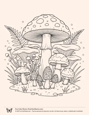 Detailed Mushroom Coloring Page