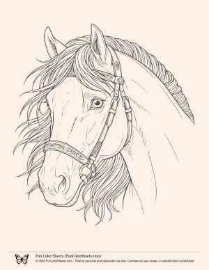 Horse Head Coloring Page