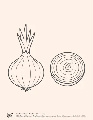Onion Cross Section Coloring Page