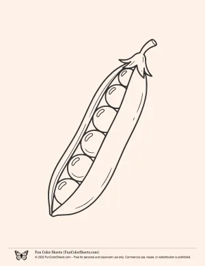 Pea Pod Coloring Page