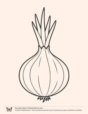 Single Onion Coloring Page