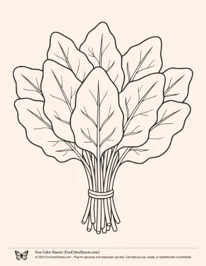Spinach Coloring Page