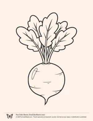 Turnip Coloring Page