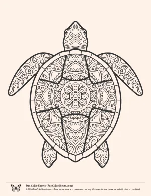 Turtle Pattern Coloring Page