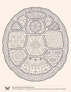 Turtle Shell Pattern Coloring Page