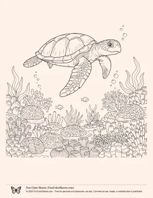 turtle undersea coloring page