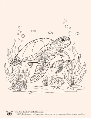 Turtle with Baby Coloring Page