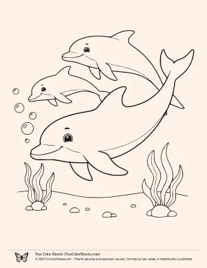 under the sea dolphins coloring page
