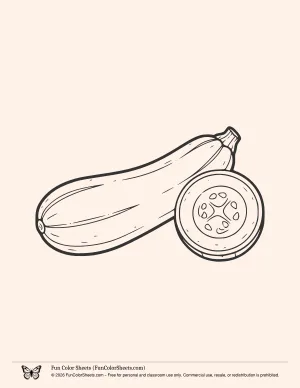 Zucchini Vegetable Coloring Page