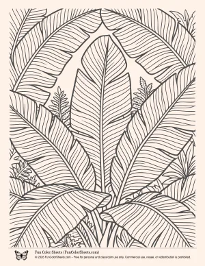 Banana Tree Leaves Coloring Page