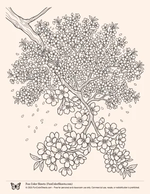 Blossoming Cherry Tree Branch Coloring Page