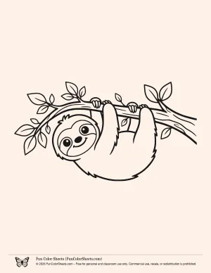 Bold Easy Sloth Coloring Page
