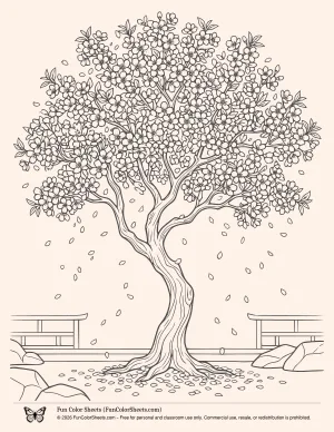 Cherry blossom coloring pages: blossoming cherry tree