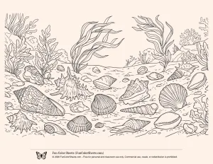 Detailed Underwater Sea Shell Scene Coloring Sheets