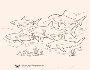 Coloring Page of Different Shark Species