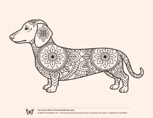Easy Patterned Sausage Dog Coloring Page