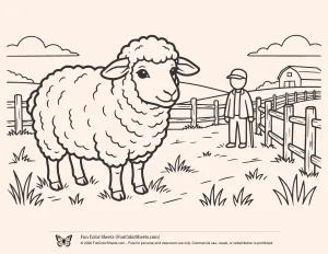 Easy Sheep Farm Scene Coloring Page