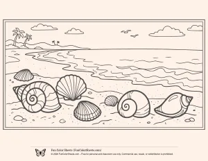 Easy Shells on Beach Scene Picture to Color