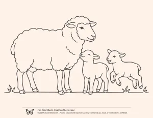 Ewe and Lambs Coloring Page