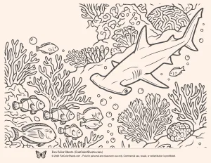 Hammerhead Coloring Sheet