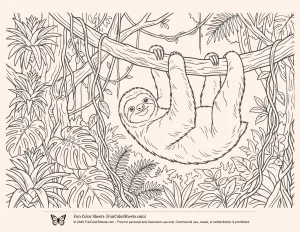Jungle Sloth Coloring Sheet