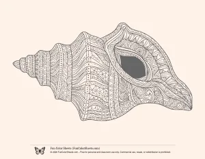 Patterned Conch Shell Coloring Page