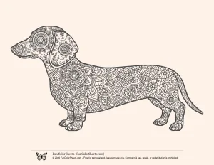 Patterned Dachshund Coloring Page