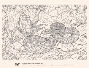 Python Jungle Coloring Page