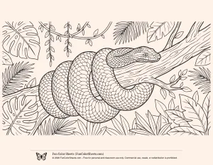 Python on a Branch Coloring Page