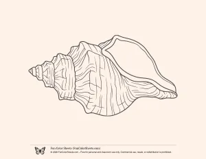 Realistic Conch Shell Coloring Page