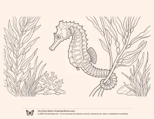 Realistic Seahorse Coloring Page