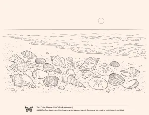 Realistic Shell Beach Scene Coloring Page