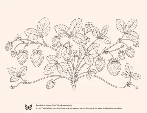 Realistic Strawberry Plant Coloring Page
