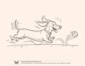 Cute Cartoon Sausage Dog Chasing a Ball Coloring Page