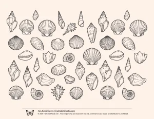 Sea Shell Pattern Coloring Sheet