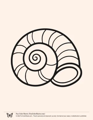 Simple Sea Shell Coloring Pages: Easy Sea Snail Shell Coloring Page