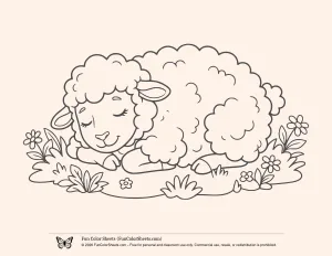 Sleeping Lamb Coloring Sheet