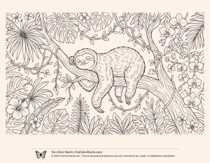 Sloth Sleeping Coloring Sheet for Adults