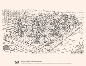 Strawberry Garden Coloring Page