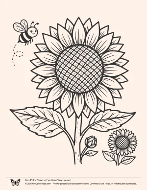 Sunflower and Bee Coloring Page