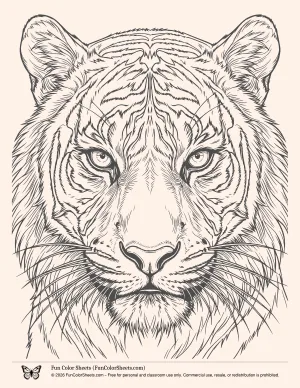Tiger Face Coloring Page for Adults