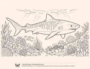 Tiger Shark Coloring Sheet