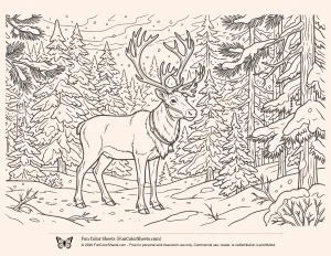 Amazing Winter Reindeer Scene Coloring Sheet