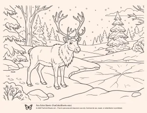 Snowy Winter Reindeer Coloring Sheet