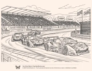 Cars on Race Track
